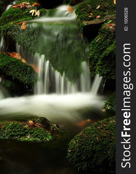 Autumn Stream In Giant Mountains