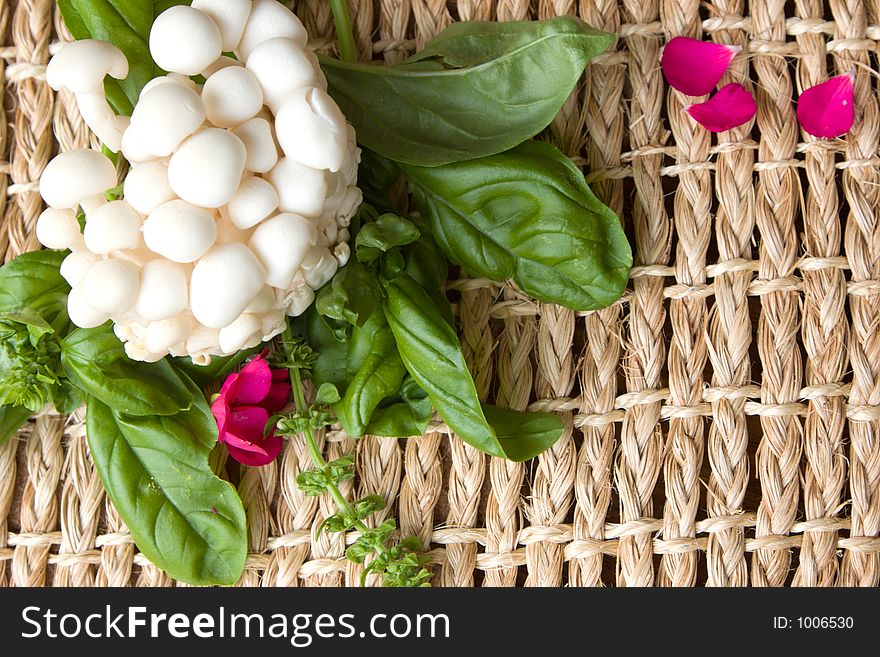 A bright pink flower joins with enoki mushroom heads on a basil bed. Room for text in lower right. Focus is on basil, flower and braided background. A bright pink flower joins with enoki mushroom heads on a basil bed. Room for text in lower right. Focus is on basil, flower and braided background.