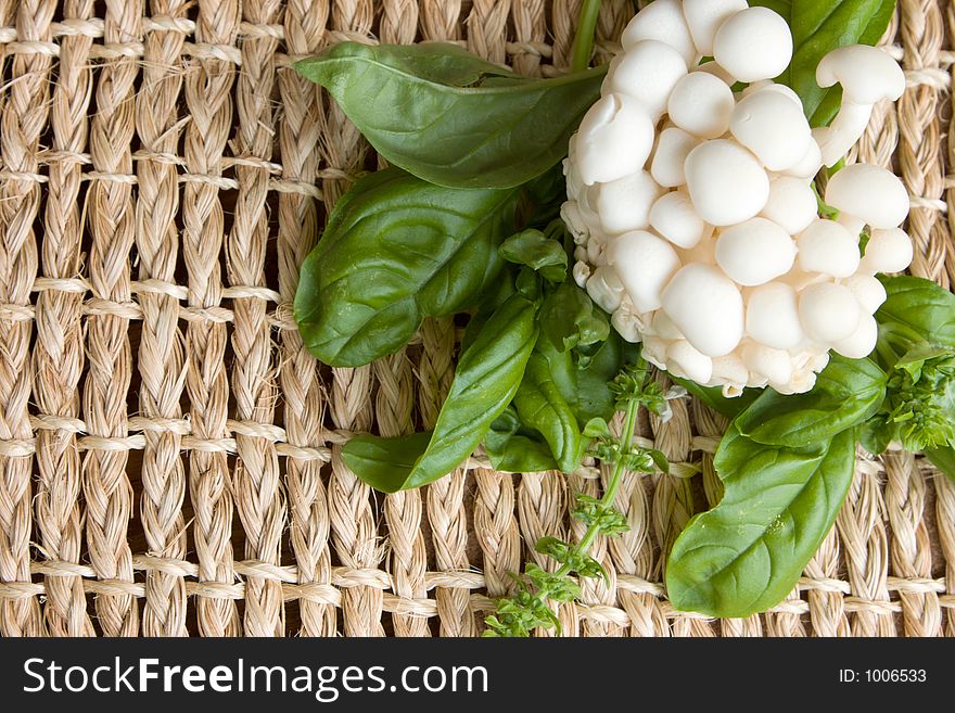 Top view of enoki mushroom caps layered with basil fresh from the garden.  Room for text on textured organic background. Focus is on basil and background. Top view of enoki mushroom caps layered with basil fresh from the garden.  Room for text on textured organic background. Focus is on basil and background.