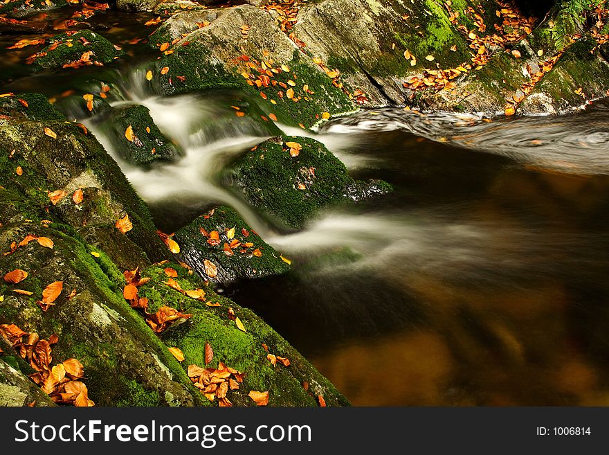 Autumn Stream In Giant Mountains