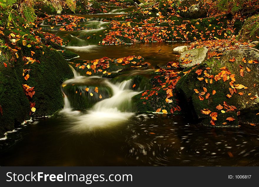 Autumn Stream In Giant Mountains