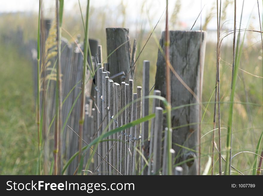 Dune Fence On The Beach