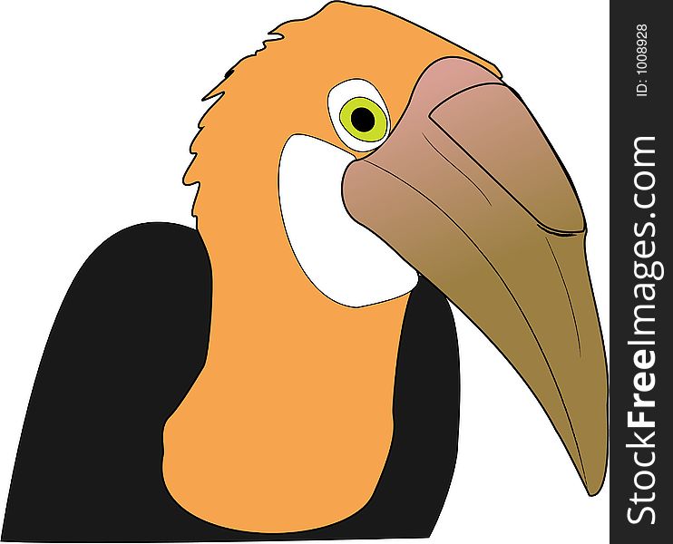 Illustration of toucan bird