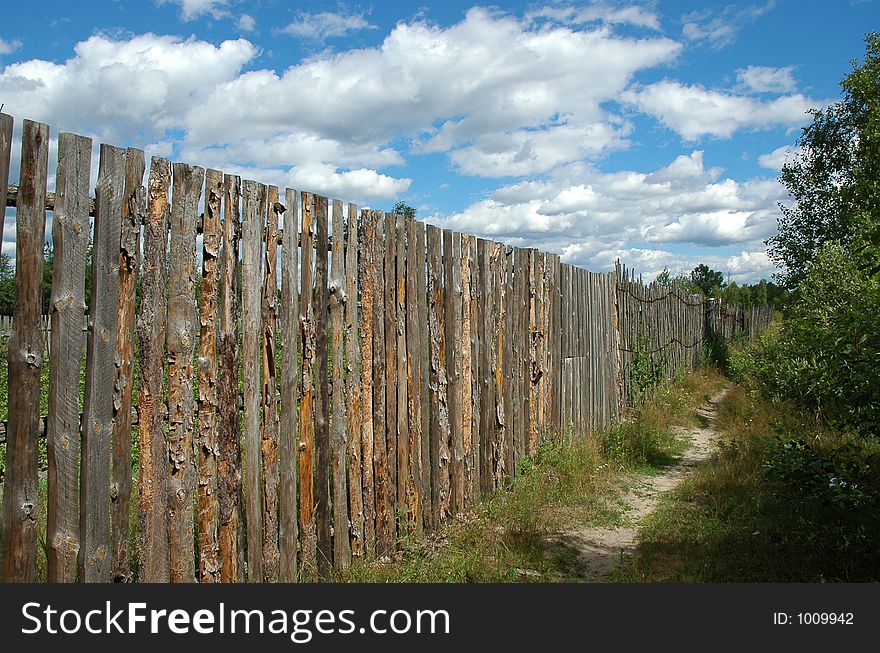 Pine fence ahd path in summer day. Pine fence ahd path in summer day