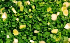 Green Onions Royalty Free Stock Image Green Onions Royalty Free Stock Image