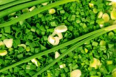 Green Onions Royalty Free Stock Photos Green Onions Royalty Free Stock Photos