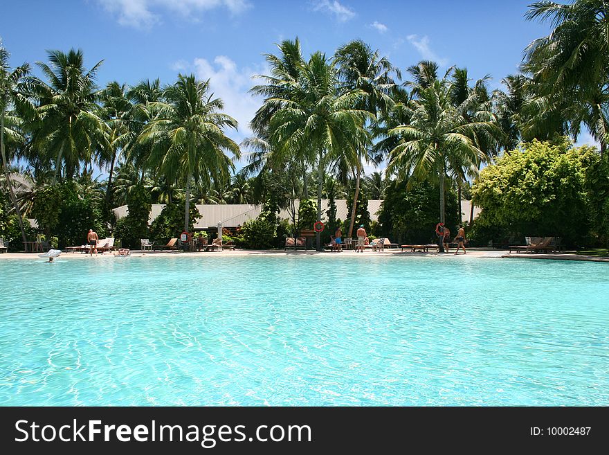 Tropical swimming pool and beautiful water with palms