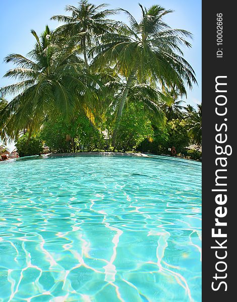 Tropical swimming pool and beautiful water with palms