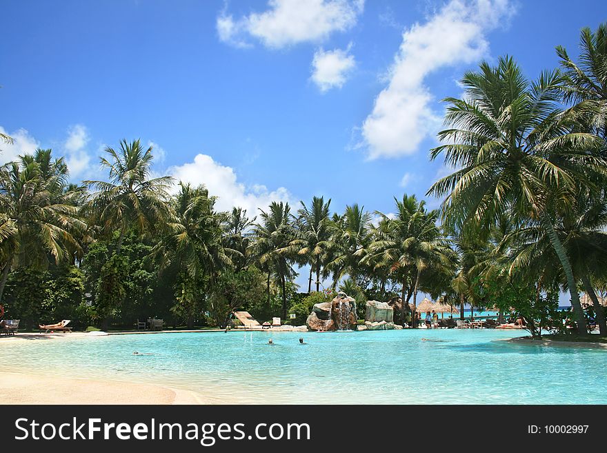 Tropical swimming pool and beautiful water with palms