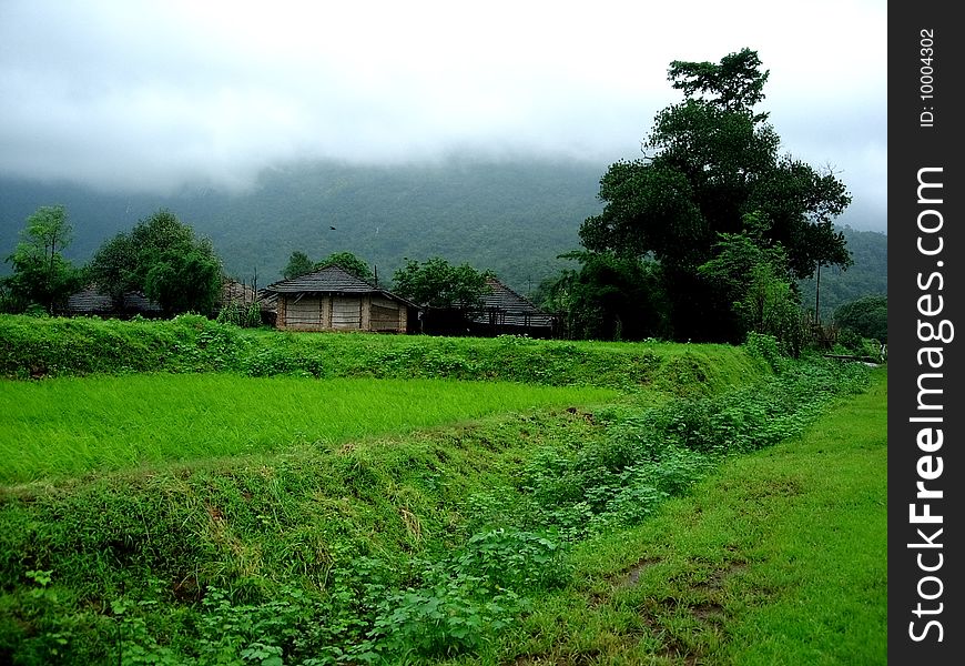 A beautiful monsoon landscape with vibrant greenery and dark atmosphere. A beautiful monsoon landscape with vibrant greenery and dark atmosphere.