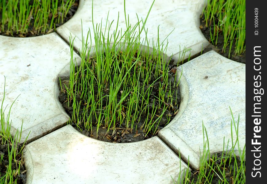 Concrete pattern with growing grass. Concrete pattern with growing grass