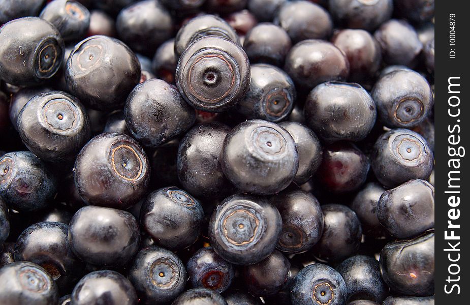 Blueberries - natural Background of fresh berries