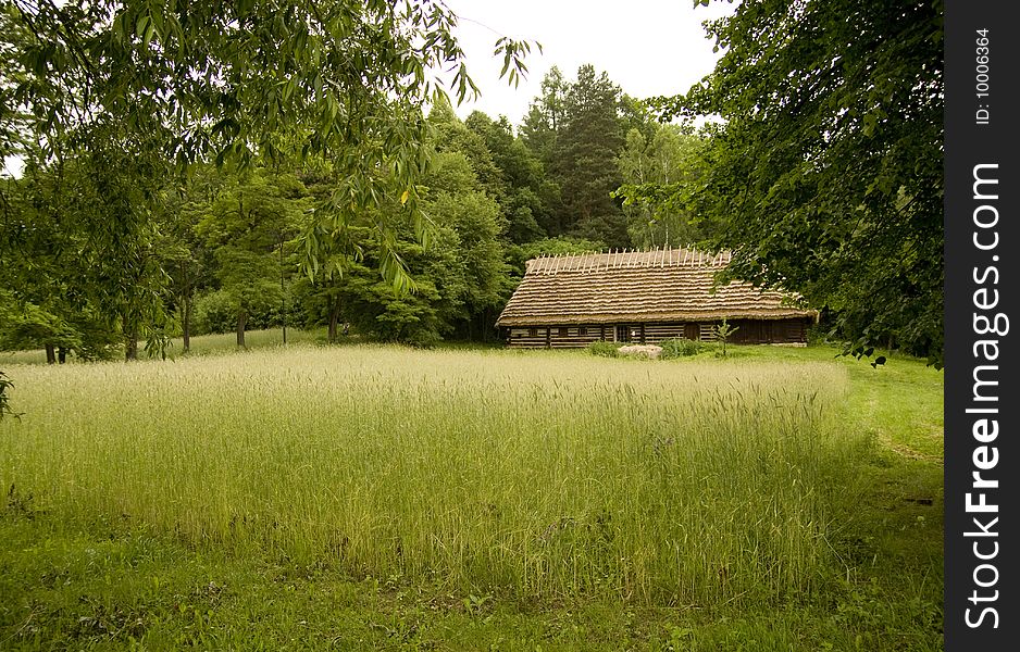 Wheat field with old houses in the background