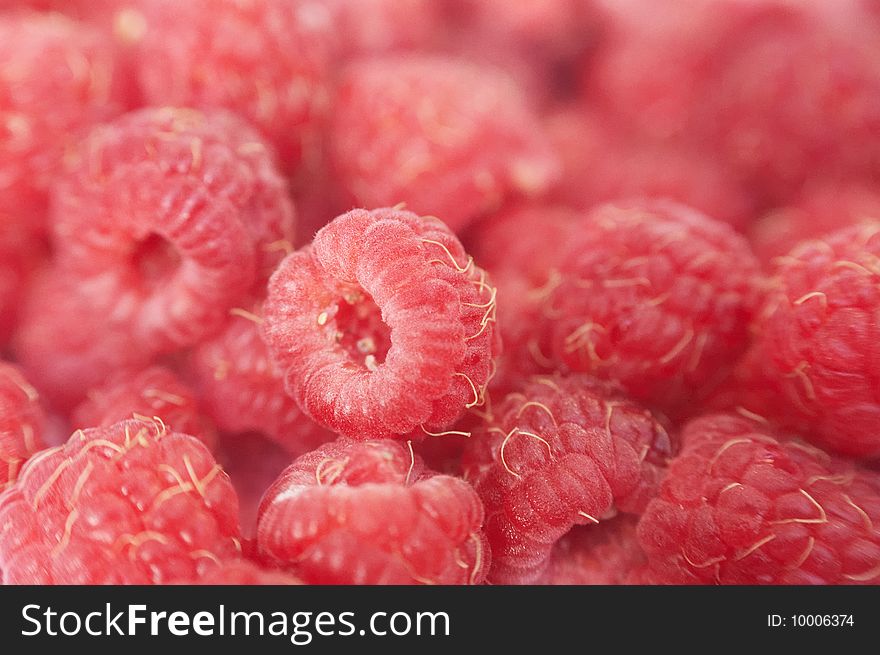 Raspberry. Fresh gathered berries, focus on central one