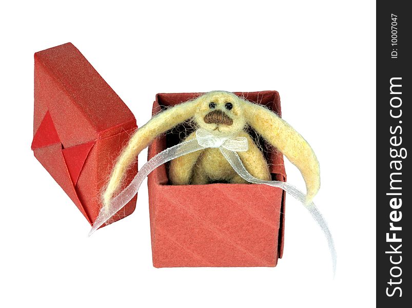 Rabbit toy in red box