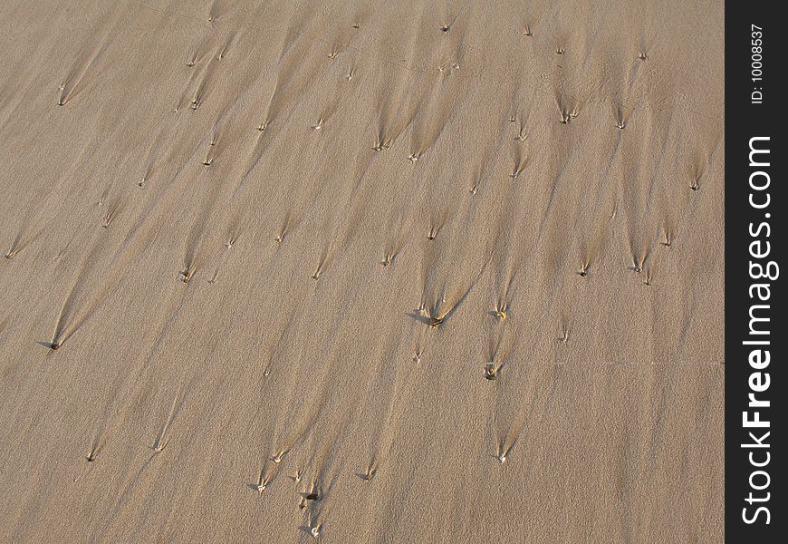 Closeup shot of textured sandy beach. Philippines