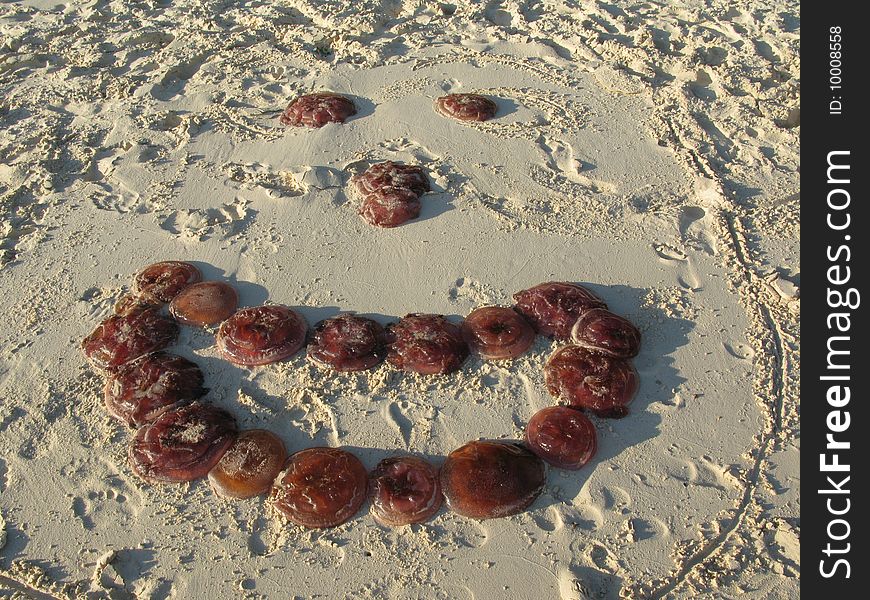 Smiley on a sandy beach made with Jelly fishes. Palawan. Philippines. Smiley on a sandy beach made with Jelly fishes. Palawan. Philippines