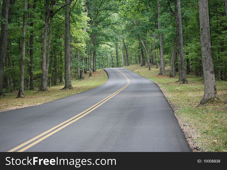 A quiet drive throught the rolling hills of a Tennessee State Park. A quiet drive throught the rolling hills of a Tennessee State Park