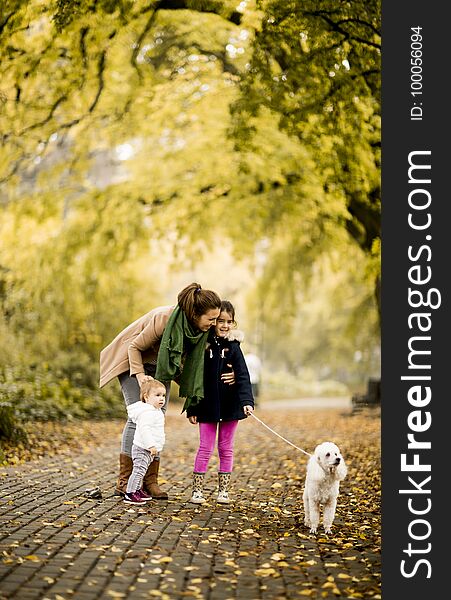 Mother and two girls walking with a dog in the autumn park