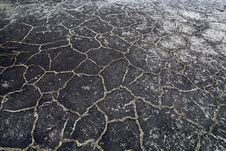 The Dried Up Earth Stock Image