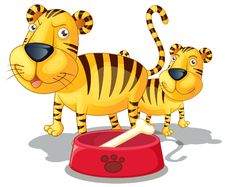 Tigers Stock Image