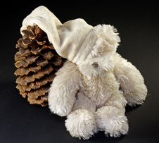 Toy Bear And The Cone Royalty Free Stock Photo Toy Bear And The Cone Royalty Free Stock Photo