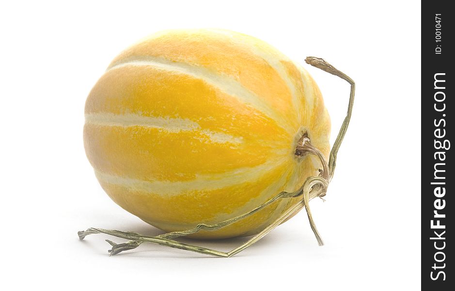 Ripe and juicy yelow melon