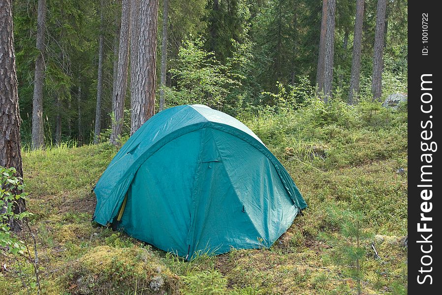 Tent In A Forest