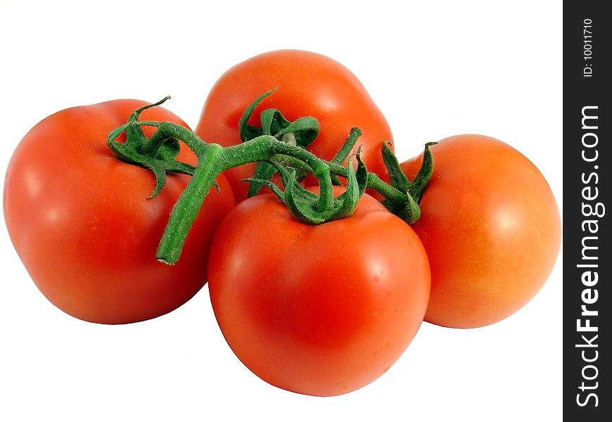 The branch with tomatoes isolated on white background
