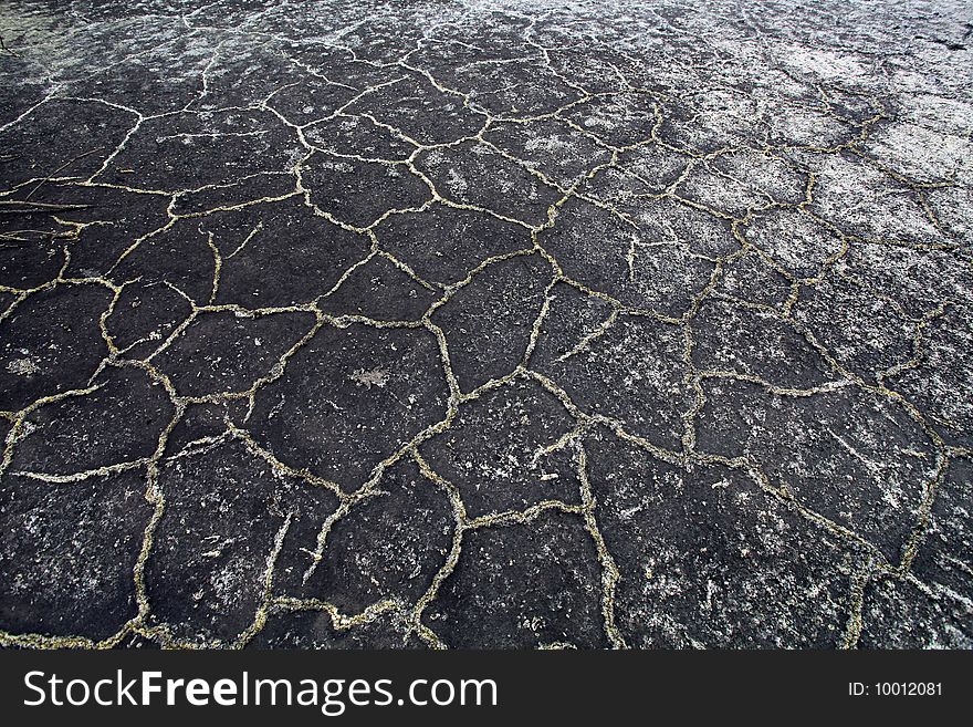 The dried up earth