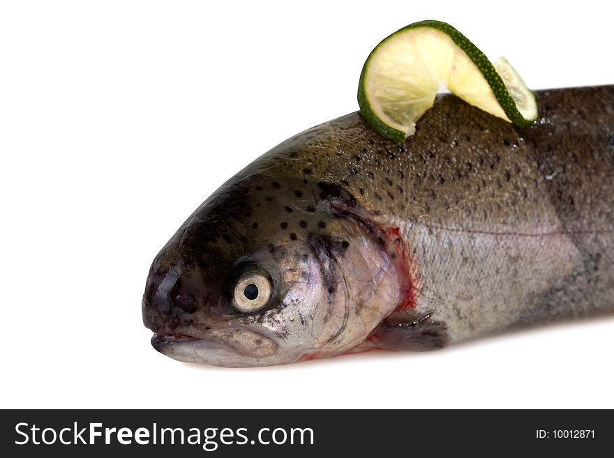 Raw rainbow trout isolated on white background