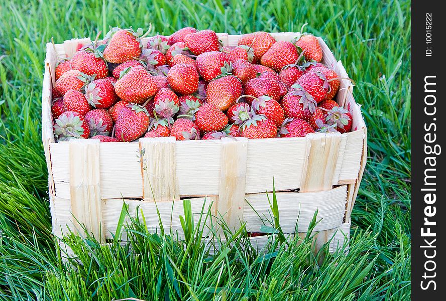 Group of fresh, succulent strawberries