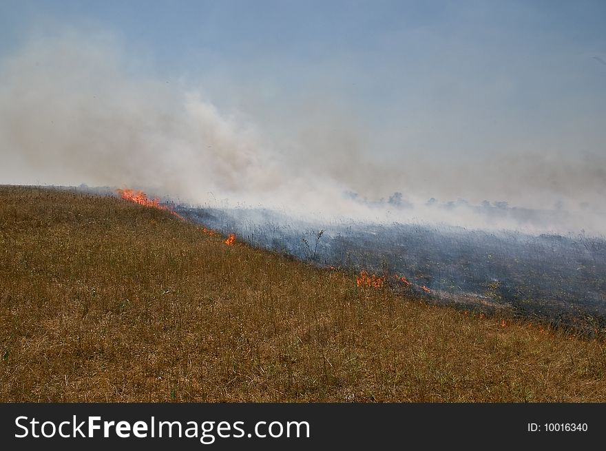 Fire in steppe in hot weather