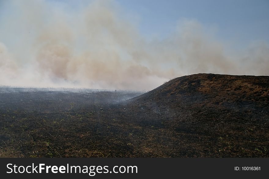 Fire in steppe in hot weather