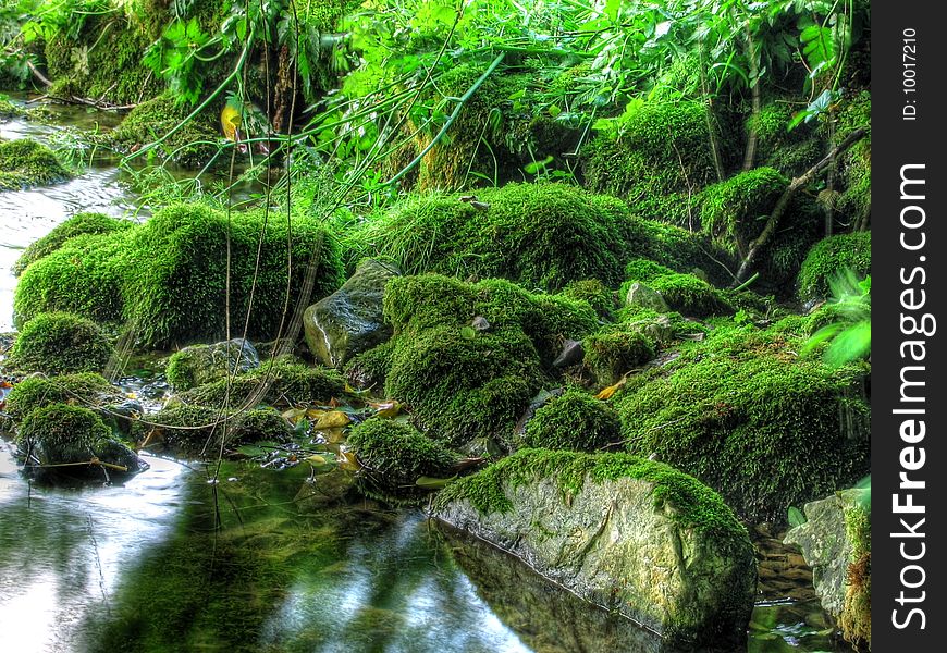 Moss on the stones in forest rivers