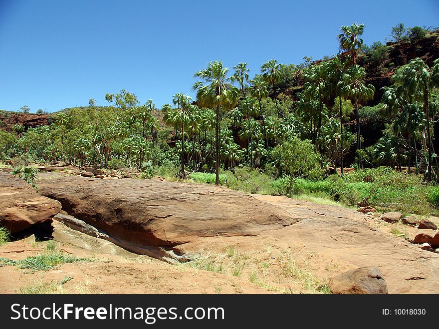 View of Palm Valley, Northern Territory, Australia. View of Palm Valley, Northern Territory, Australia.