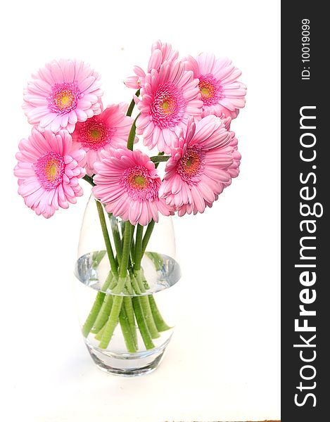 A shot of a vase of gerbera flowers. A shot of a vase of gerbera flowers