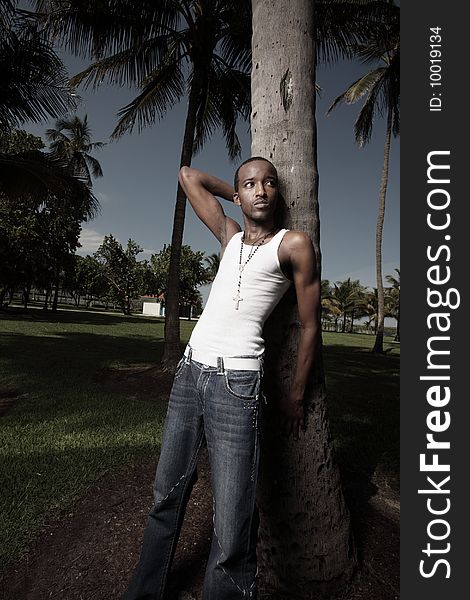 Young African American male leaning on a tropical palm tree. Young African American male leaning on a tropical palm tree