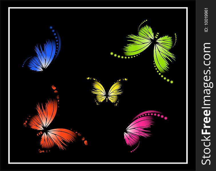 Very beautiful butterflies of different colours