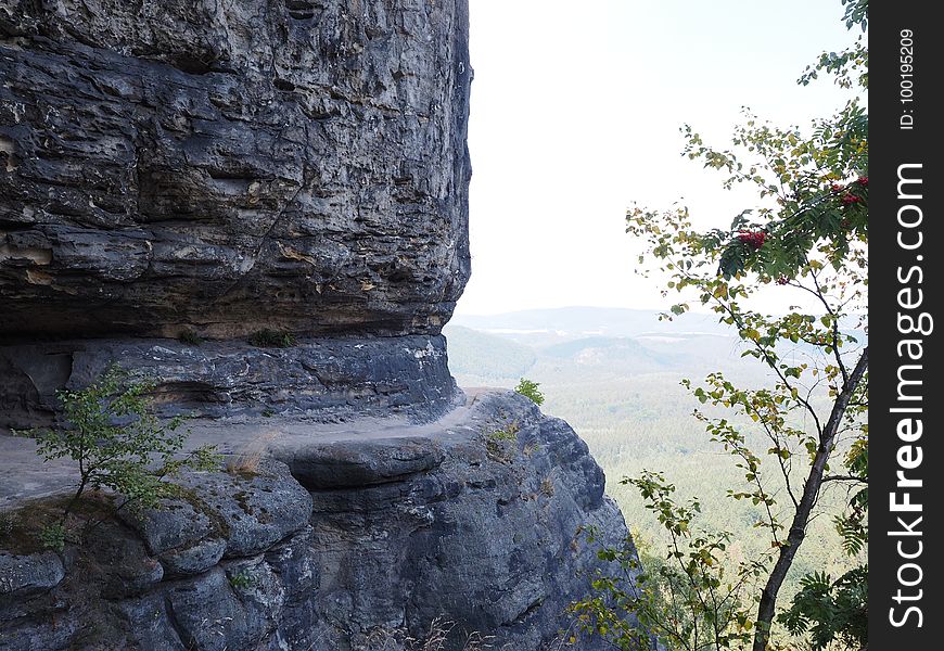 Rock, Wilderness, Tree, Escarpment