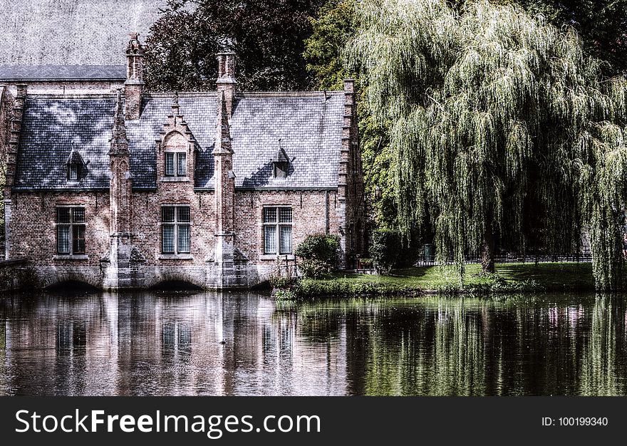 Reflection, Water, Waterway, Tree