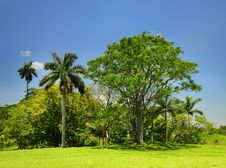 Cuban Countryside Landscape Royalty Free Stock Photography Cuban Countryside Landscape Royalty Free Stock Photography