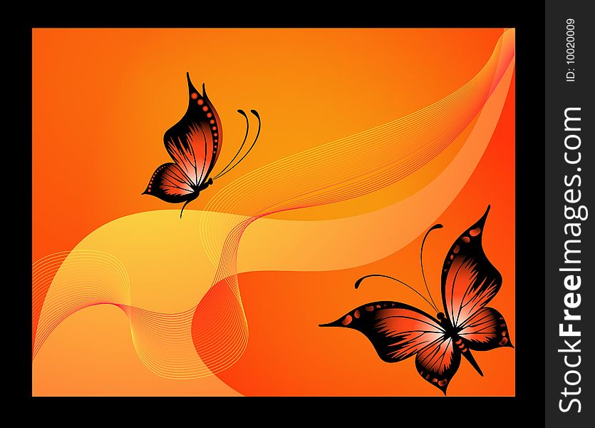 Very beautiful butterflies on an orange background