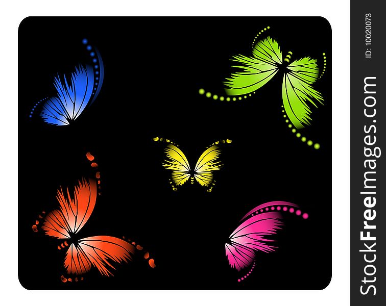 Very beautiful exotic butterflies on a black background