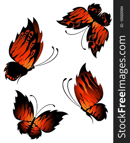 Very beautiful exotic butterflies on background