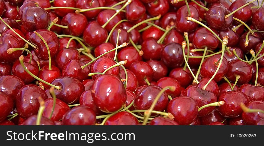 Many large juicy red, ripe cherries with stems are in this photo, freshly picked. Many large juicy red, ripe cherries with stems are in this photo, freshly picked.