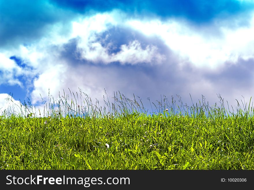 Fresh green grass on bright blue sunny sky background. Fresh green grass on bright blue sunny sky background