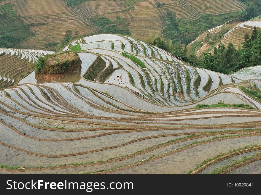 The ancient terrace at an altitude between 300 to 1180 meters, covers an area of 70 square kilometers. The ancient terrace at an altitude between 300 to 1180 meters, covers an area of 70 square kilometers.