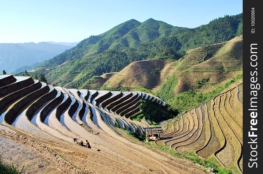 The ancient terrace at an altitude between 300 to 1180 meters, covers an area of 70 square kilometers. The ancient terrace at an altitude between 300 to 1180 meters, covers an area of 70 square kilometers.