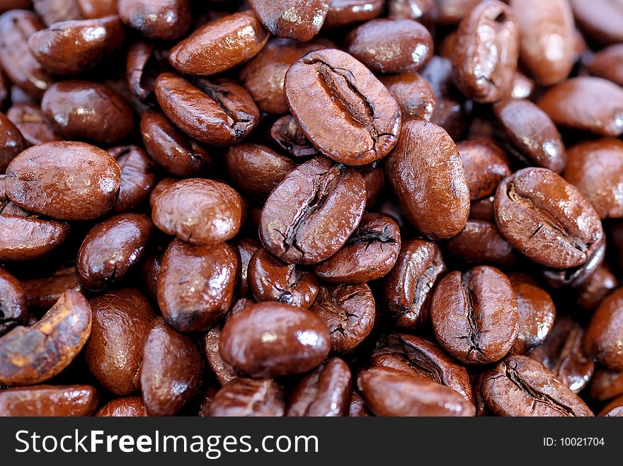 Close up capture on baked Mocha Coffee Bean. Close up capture on baked Mocha Coffee Bean